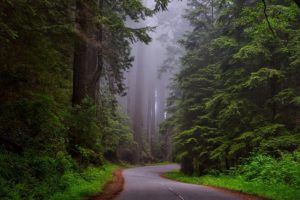 BOS > Santa Ana, California: From $134 round-trip – May-Jul (Including Summer Break)