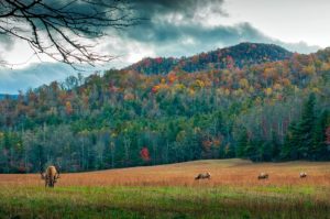 CLE > Charlotte, North Carolina: From $50 round-trip – Aug-Oct *BB