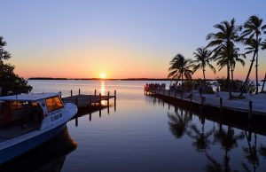 IAH > Melbourne, Florida: $141 round-trip – Aug-Oct