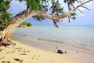 IND > Pointe-a-Pitre, Guadeloupe: Flight & 7 nights: $727 – Dec-Feb