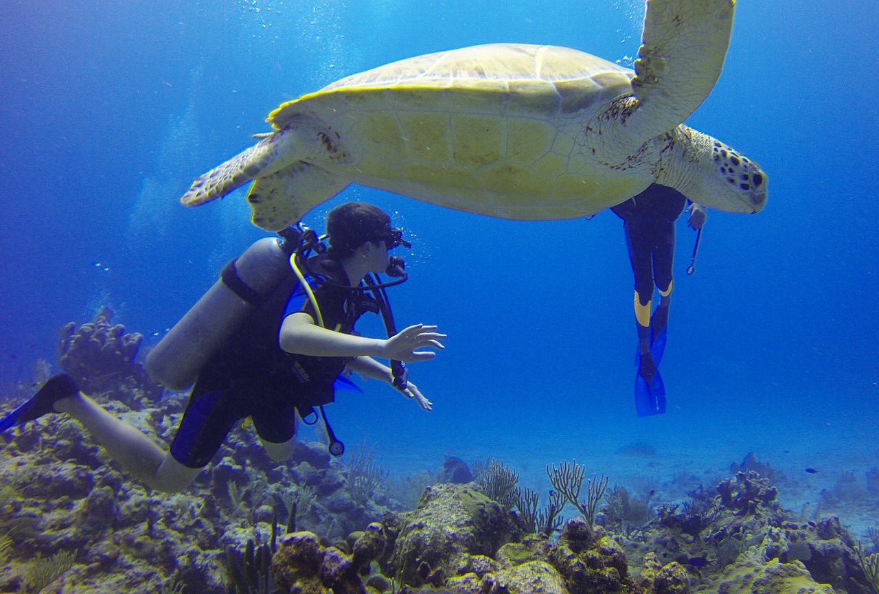 JFK > Belize: $374 round-trip