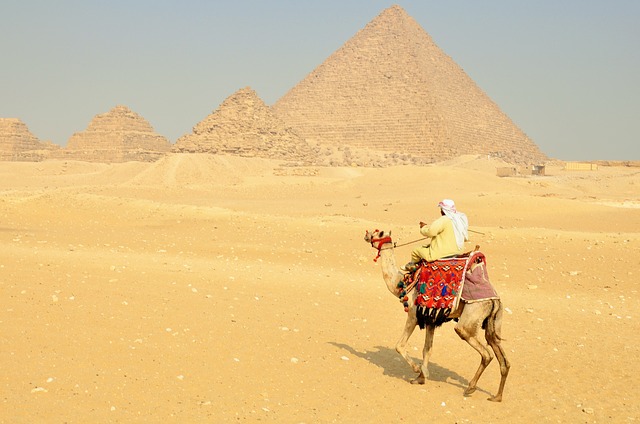 New York To Egypt