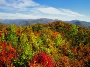 STL > Decatur, Georgia: $58 round-trip – Aug-Oct (Including Labor Day)