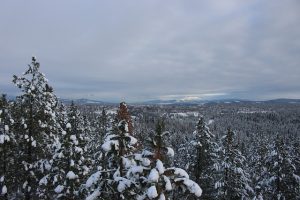 STL > Spokane, Washington: From $89 round-trip – Jul-Sep *BB