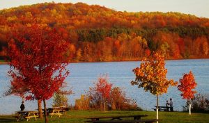 TPA > Latrobe, Pennsylvania: From $121 round-trip – Nov-Jan