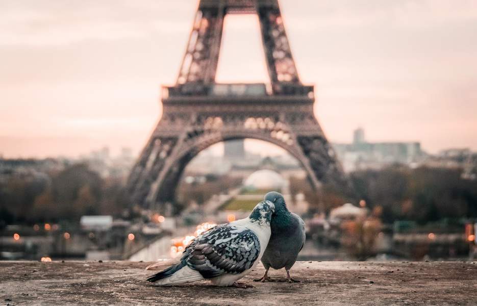 ORD > Paris, France: Econ from $348. – Jul-Sep