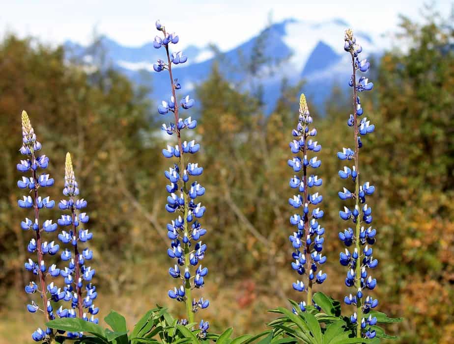 PDX > Juneau, Alaska: Biz from $720. Econ from $317. – Aug-Oct (Including Labor Day)