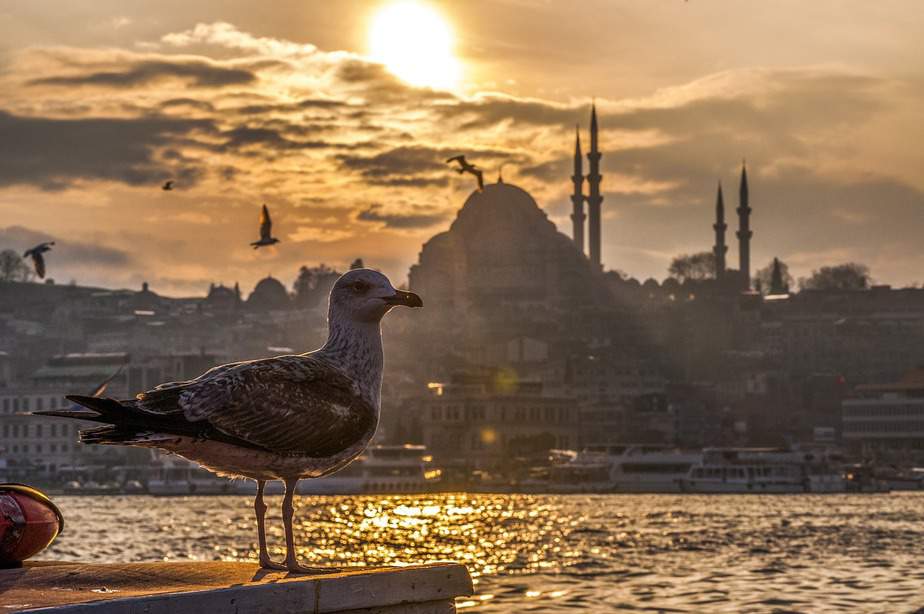 JFK > Istanbul, Turkey: Econ from $379. – Aug-Oct